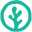 coralyno logo